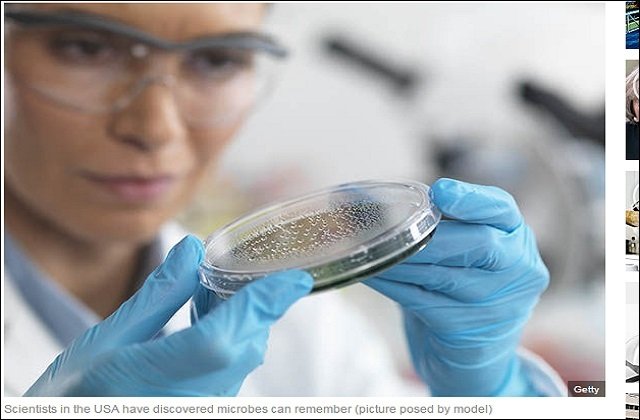 【衝撃生物学】微生物に記憶力があることが判明!しかしある理由から記憶喪失に…!の画像3
