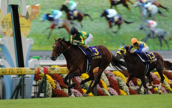 驚愕の万馬券的中率を誇るプロ集団がいた! 有馬記念前に衝撃暴露「勝つ馬は…」の画像2