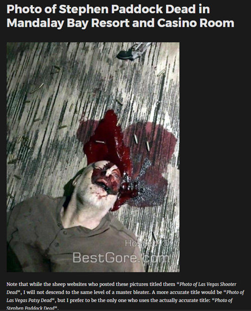 【閲覧注意・ラスベガス銃乱射】事件直後のヤバすぎるノーカット映像&犯人の自殺画像が流出! 無数の遺体と血の海、瀕死の被害者…!の画像1