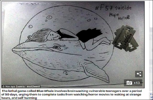 若者130人以上を殺したロシア残酷自殺グループ「Blue Whale」が日本進出間近！ 創設者は鬼畜発言「自殺した奴らは生物的ゴミ」の画像1
