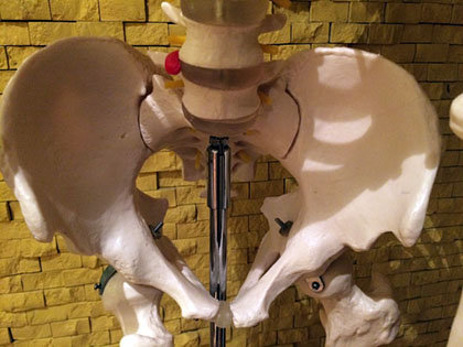 bone.jpg