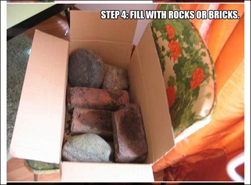 box.jpg