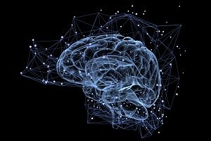 【倫理】脳を交換したらどっちが「私」? 「頭部移植」を巡る哲学的思考実験と「魂」の実在性の画像2