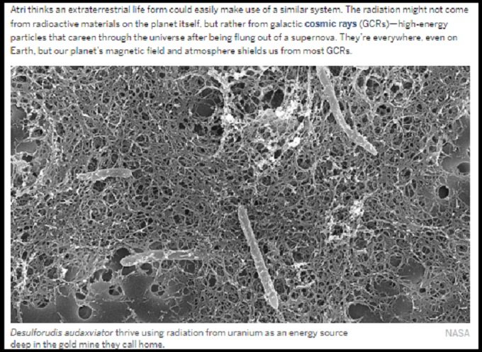 宇宙線を食糧とするエイリアンの存在が濃厚に?放射線を食べて生きる最強生物が地球上で新発見されるの画像1