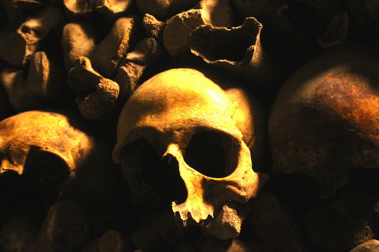 600万体の骸骨が眠るパリの地下 ― カタコンブ・ド・パリの「人骨の壁」の画像8