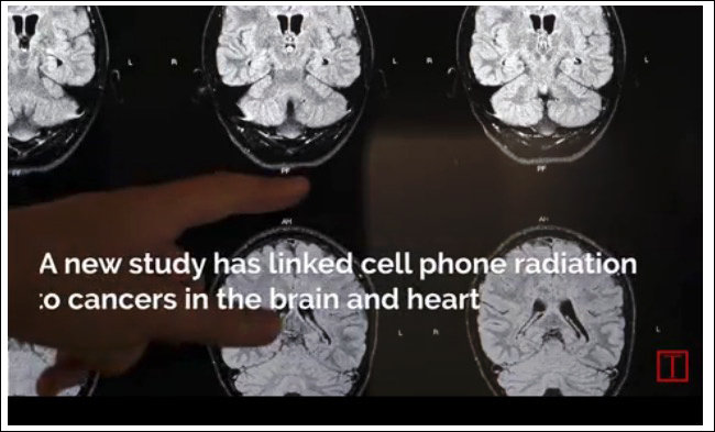 cellphone_cancer2.jpg