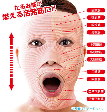 chinidea10.jpg