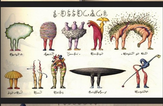 パラレルワールドの百科事典『コデックス・セラフィニアヌス』― 奇妙な植物、SEX、医療…異世界の話を未知の言語で綴った本の驚愕内容とは？の画像2
