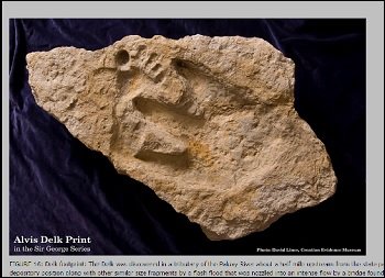 「人類恐竜共存説」の真偽をめぐるガチバトルがアメリカで勃発! アメリカ社会が抱える1億ドルの闇が関係している!?の画像3