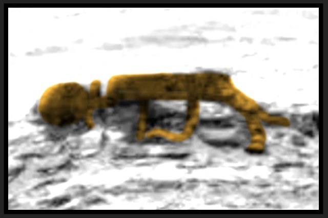 火星に「エイリアンの死体」が放置されていたことがNASA公式画像で判明? 研究者「火星に生命が存在した動かぬ証拠」の画像2