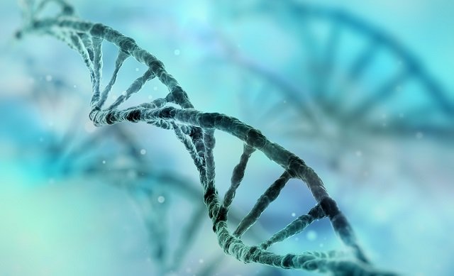 【革命的】死後も活動するゾンビ遺伝子が人体で確認される! 死の定義が激変する可能性も?の画像2