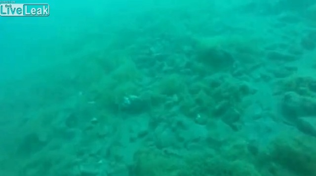 【衝撃映像】ダイビング中にM5.6の地震が起きるとこうなる! 巨大な見えない力でコントロール不能になる瞬間…!の画像2