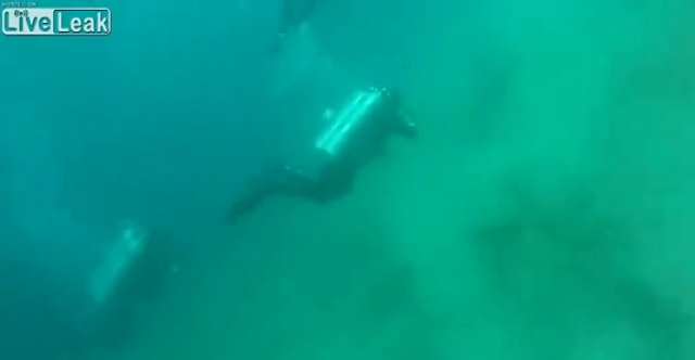【衝撃映像】ダイビング中にM5.6の地震が起きるとこうなる! 巨大な見えない力でコントロール不能になる瞬間…!の画像3