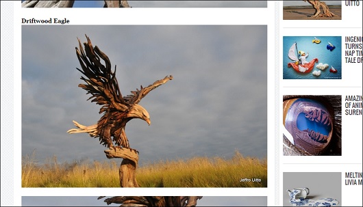 driftwood_2.jpg