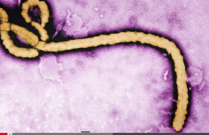 ebola_3.jpg