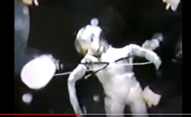 【衝撃】25年前に撮影された「最も不穏なエイリアン映像」が発見される! 謎の白い宇宙人にネット騒然「撮影者も焦っている」=スイスの画像2
