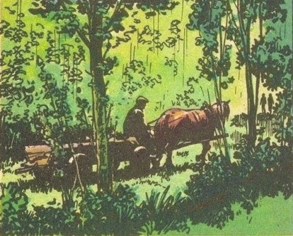 emilcin06.jpg