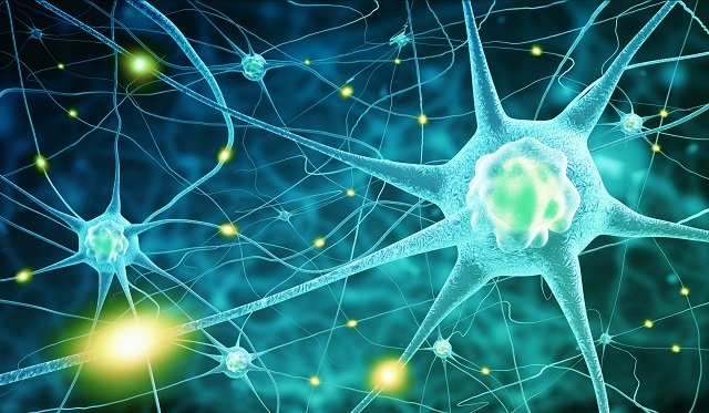 人間の意識は宇宙法則とリンクしていたことが判明「意識はエントロピーの副産物でしかない」の画像1