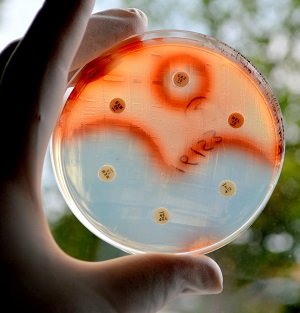 【悲報】「マジで世界滅亡2分前」世界中の有名科学者が人類滅亡寸前を指摘! 21世紀で終了の確率は50%!の画像2
