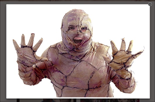 flesh_3.jpg