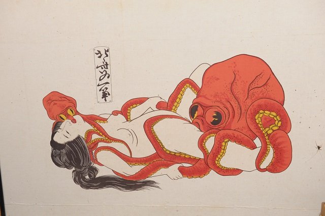 fujihihou_01.jpg