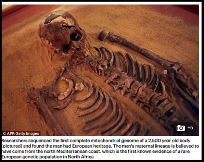 2500年前の若い男「アーチー」の骸骨をゲノム解析!古代フェニキア人の謎に近づく?の画像2