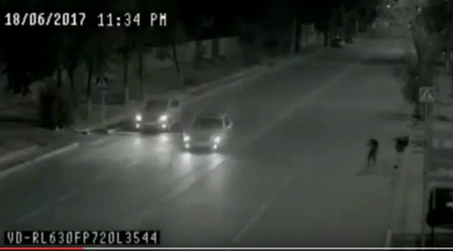 100%車に轢かれるはずだった少女が奇跡を起こす衝撃映像! 父親の霊が瞬間移動で娘を救った!?の画像3