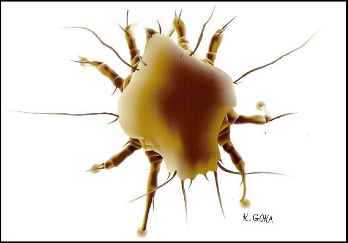 「火星の生物と、未知なる生命体の可能性」を生態学者に直撃! クマムシレベルの最強生物についても!の画像3