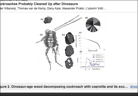 ゴキブリの生命力に新たな伝説が刻まれる！消えた恐竜の化石が証拠？の画像2