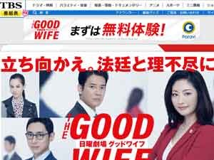 「グッドワイフ」常盤貴子だけじゃない! 山口智子、安田成美…美しすぎるアラフィフ女優6選!「加齢による変化ゼロ」の画像1
