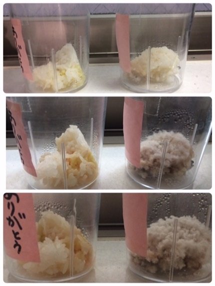 2カ月間「感謝されたご飯」と「バカにされたご飯」の比較画像に衝撃! 「無視」は最悪… やはり波動は存在する!の画像4