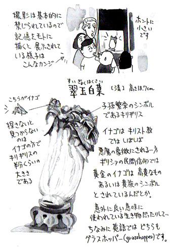 hakusai01.jpg