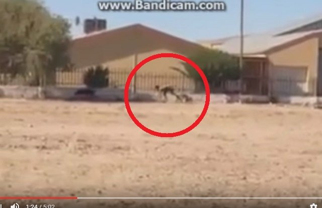 【衝撃動画】半分が犬、半分が人間のバケモノが激撮される! 全裸で爆走、獣姦による交配種か!?の画像1