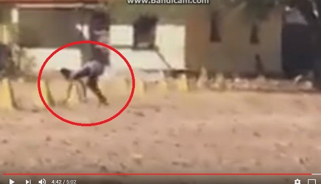 【衝撃動画】半分が犬、半分が人間のバケモノが激撮される! 全裸で爆走、獣姦による交配種か!?の画像2