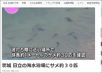 ハムスターは完全に地震発生を予知することが判明!! アノ回数が増えまくっていたら… すぐに大地震が来る!?の画像2