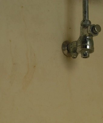 沖縄・波照間島で殺された女の怨念が宿る呪われたトイレに潜入! 消えない血痕、島民の監視… 「本当に近づくべきではない」激ヤバスポットの画像5