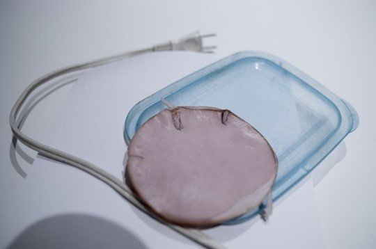 【実験】10歳娘の性器も通電! 死者7人「北九州監禁殺人事件」で使用された通電装置を自作した結果…衝撃!の画像4