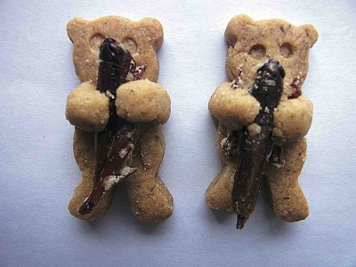 絶対に食べないと損! 「本当に美味しい昆虫ベスト5」を研究家が選出!の画像8