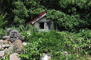祠やお稲荷さまの「墓場」を青森県で発見! 取材中に謎の男と遭遇し、トンでもなく不吉な事態に…!の画像4