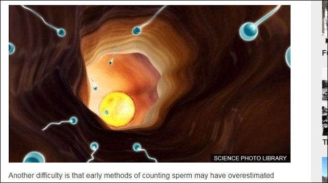 22年後に世界から精子が尽きることが判明、人類滅亡へ! 研究者「爆速で精子が減少中」の画像4
