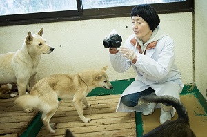 生まれてすぐに袋詰めにされて殺される子犬たち、劣悪なガス室待ちの環境…犬の殺処分問題について山田あかね監督が語るの画像4