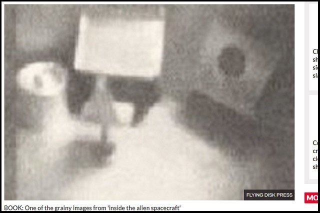 【世界初】UFO内部で撮影された宇宙人の顔写真が公開される! 地元民と20年間交流、外交官も目撃!=伊の画像4