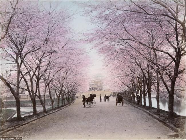 着色カラー写真でみる100年前の明治時代!! 西洋文化で華咲いたナウいNIPPON!の画像9