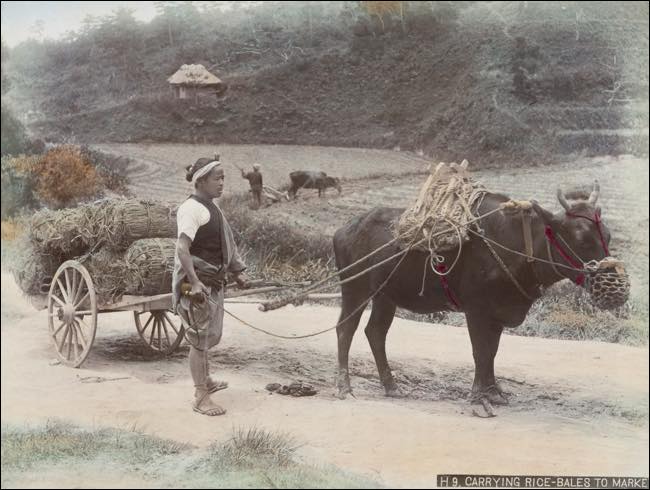 着色カラー写真でみる100年前の明治時代!! 西洋文化で華咲いたナウいNIPPON!の画像20