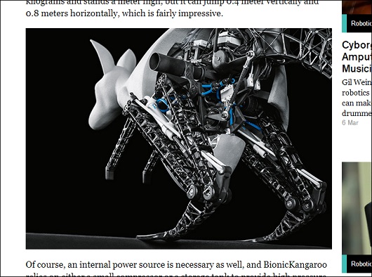 kangaroo_2.jpg