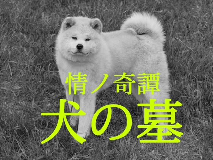 犬のお墓にまつわる本当にあった超怖い話 四国 犬神信仰 の祖母が遺した 死の祟り 川奈まり子 Tocana