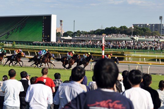 【極秘】社名掲載を禁じる「謎の競馬予想サイト」の的中率がヤバすぎる!の画像1