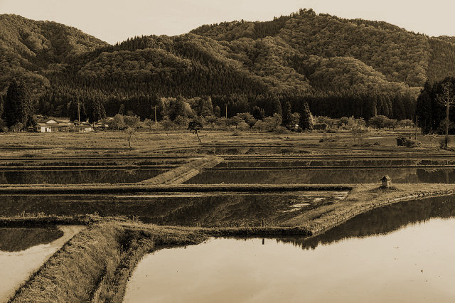 kishu0920_01.jpg