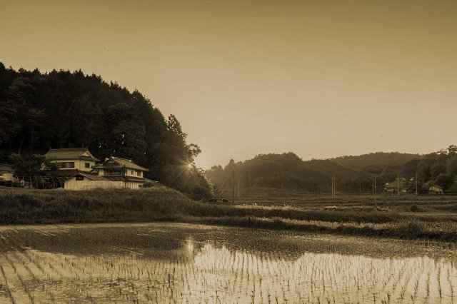kishu1109_01.jpg