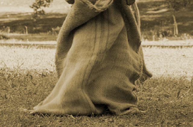 kishu11142_01.jpg